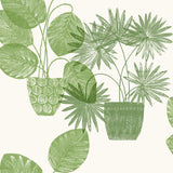 Aida Green Potted Plant Wallpaper with Botanical Bohemian Pattern - Brewster 4014-87558