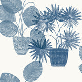 Aida Blue Potted Plant Wallpaper with Botanical Bohemian Pattern - A-Street Prints 4014-87559