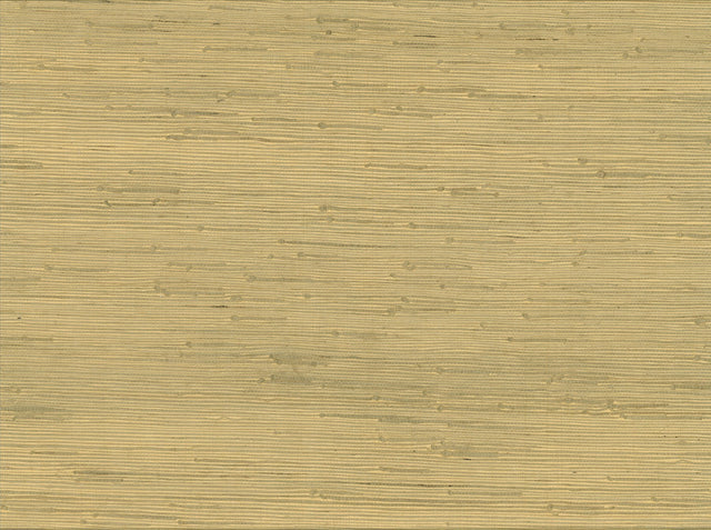 Shan Light Green Grasscloth Wallpaper with Textured Grasscloth Pattern, Traditional Style - Advantage 4018-0021