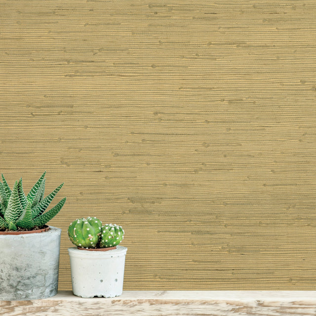 Shan Light Green Grasscloth Wallpaper with Textured Grasscloth Pattern, Traditional Style - Advantage 4018-0021