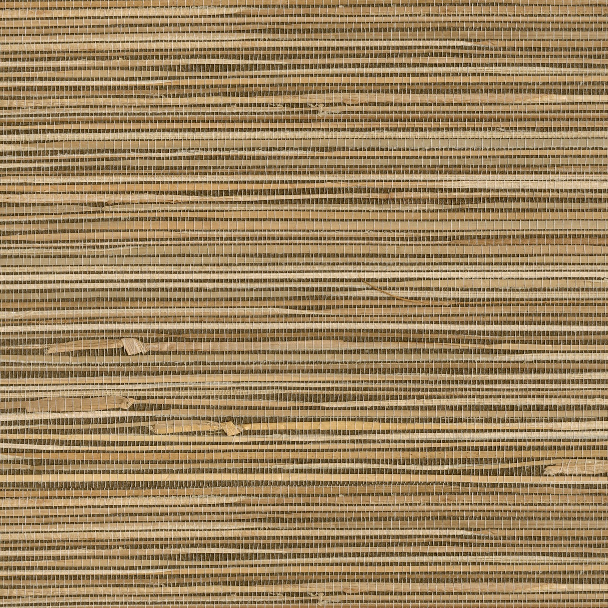 Seiju Wheat Grasscloth Wallpaper Wheat - Brewster 4018-0026