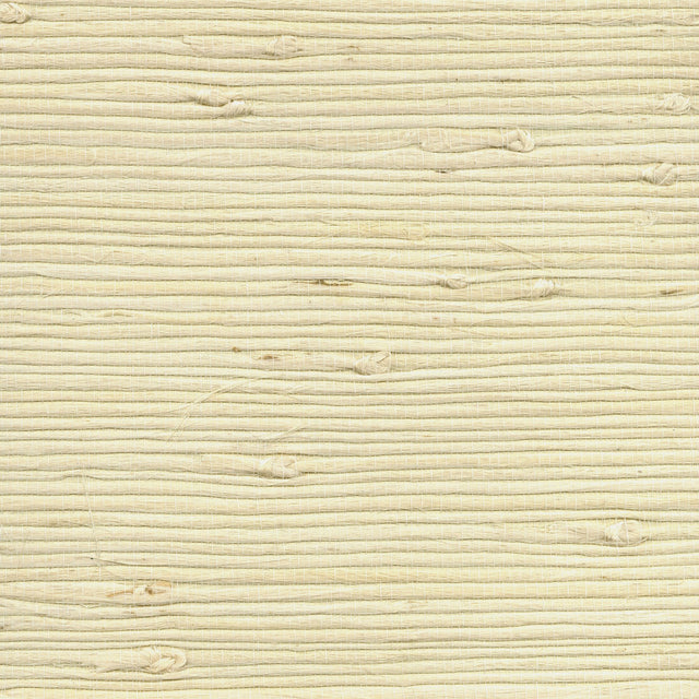 Battan Cream Grasscloth Wallpaper with Organic Textures in Traditional Style - Advantage 4018-0050