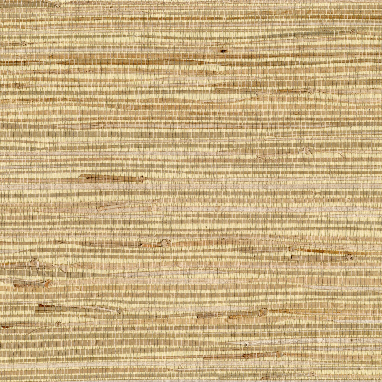 Altay Maize Grasscloth Wallpaper with Textured Woven Grass Motif - Advantage 4018-0058