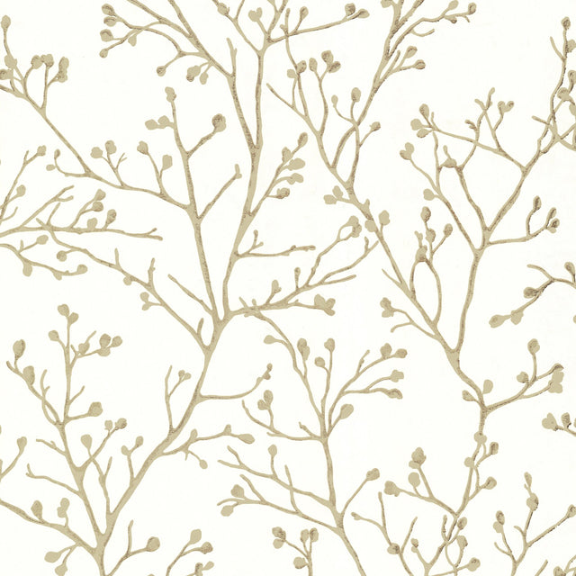 Koura Cream Budding Branches Metallic Botanical Wallpaper - A-Street Prints 4019-86454
