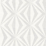 Monge Silver Geometric Wallpaper with Metallic Raised Ink Texture - Advantage 4025-82548