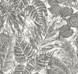 Brentwood Black Palm Leaves Wallpaper with Textured Paper Weave Grasscloth - Brewster 4034-72115