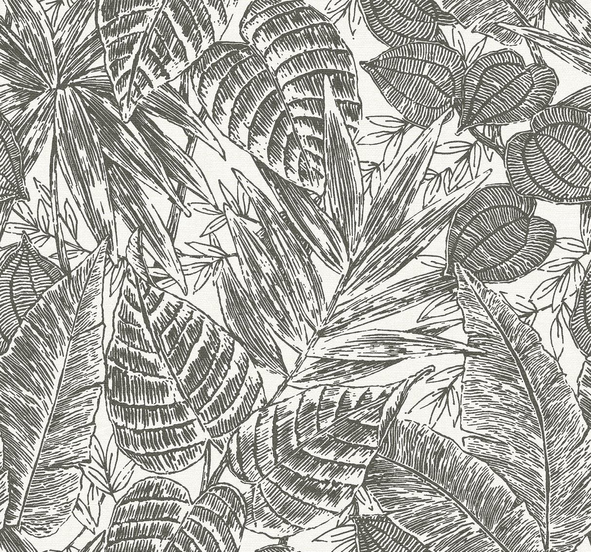 Brentwood Black Palm Leaves Wallpaper by A-Street Prints featuring tropical palm leaf design in black on white paper weave texture - YK72115