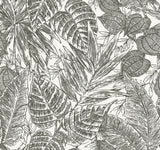 Brentwood Black Palm Leaves Wallpaper by A-Street Prints featuring tropical palm leaf design in black on white paper weave texture - YK72115