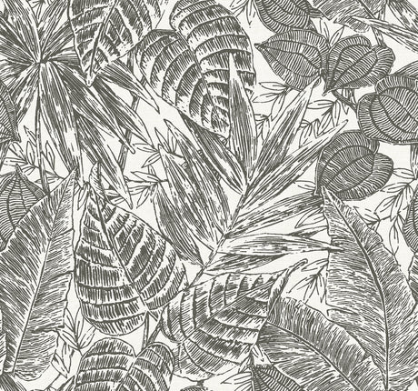 Brentwood Black Palm Leaves Wallpaper by A-Street Prints featuring tropical palm leaf design in black on white paper weave texture - YK72115