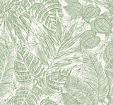Brentwood Green Palm Leaves Wallpaper with Textured Paper Weave Grasscloth - A-Street Prints 4034-72116