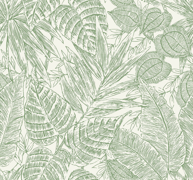 Brentwood Green Palm Leaves Wallpaper with Textured Paper Weave Grasscloth - A-Street Prints 4034-72116