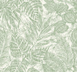 Brentwood Green Palm Leaves Wallpaper by A-Street Prints - YK72116