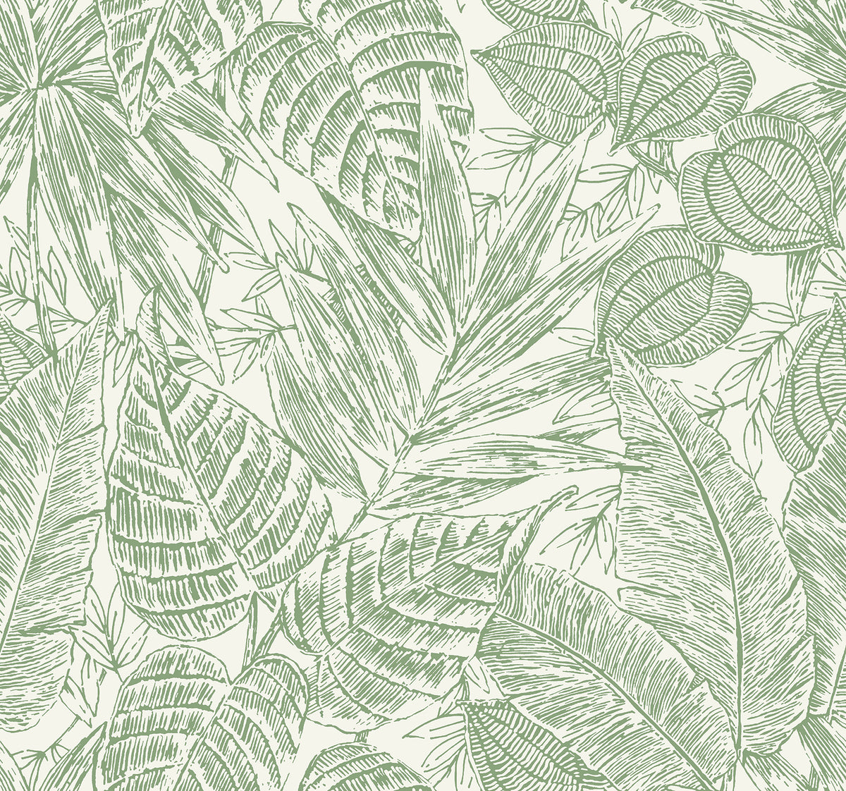 Brentwood Green Palm Leaves Wallpaper by A-Street Prints - YK72116
