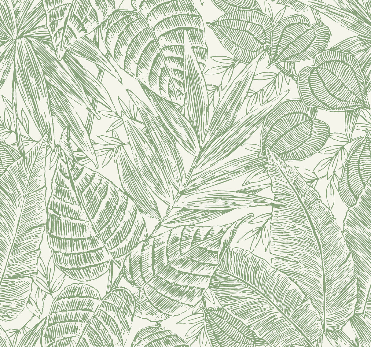 Brentwood Green Palm Leaves Wallpaper by A-Street Prints - YK72116