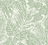Brentwood Green Palm Leaves Wallpaper by A-Street Prints - YK72116