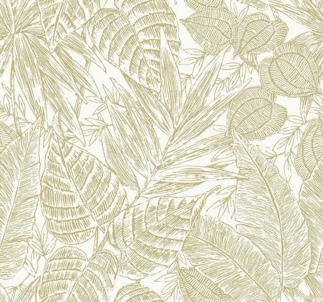 Brentwood Yellow Palm Leaves Wallpaper with Botanical Paper Weave Grasscloth Texture - A?Street Prints 4034-72117