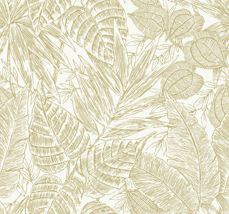 Brentwood Yellow Palm Leaves Wallpaper by A-Street Prints - Tropical Botanical Paper Weave Grasscloth
