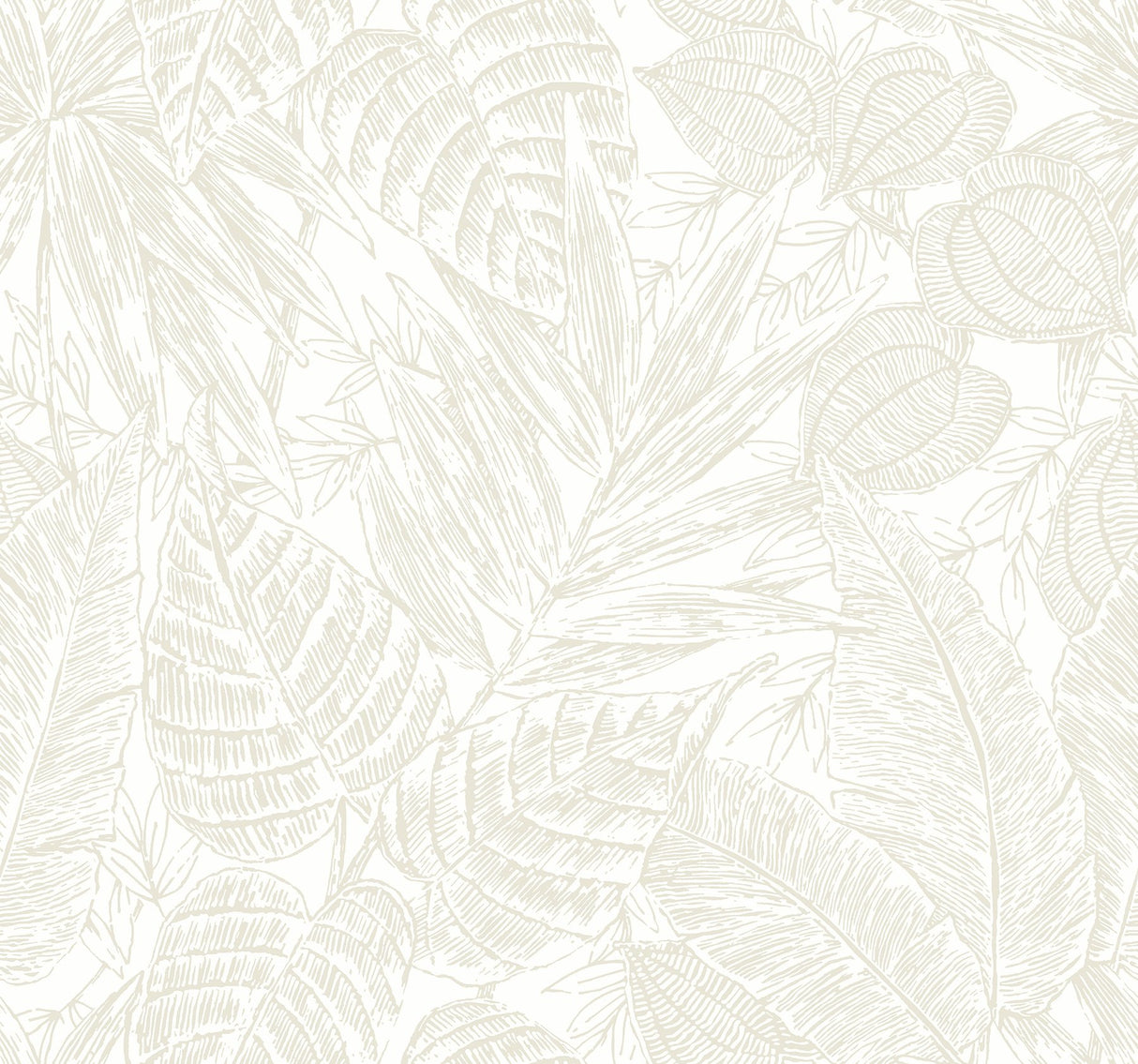 Brentwood Bone Palm Leaves Textured Wallpaper with Botanical Paper Weave Grasscloth - Brewster 4034-72118