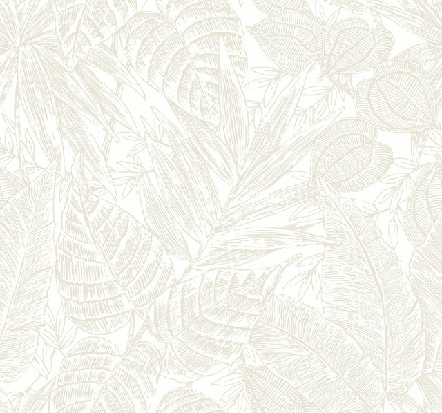Brentwood Bone Palm Leaves Textured Wallpaper with Botanical Paper Weave Grasscloth - Brewster 4034-72118