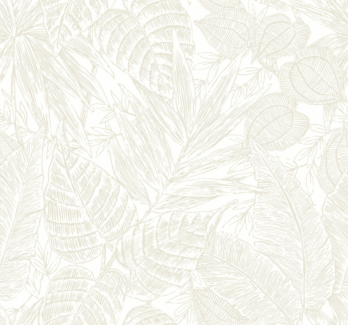 Brentwood Bone Palm Leaves Wallpaper by A-Street Prints - YK72118