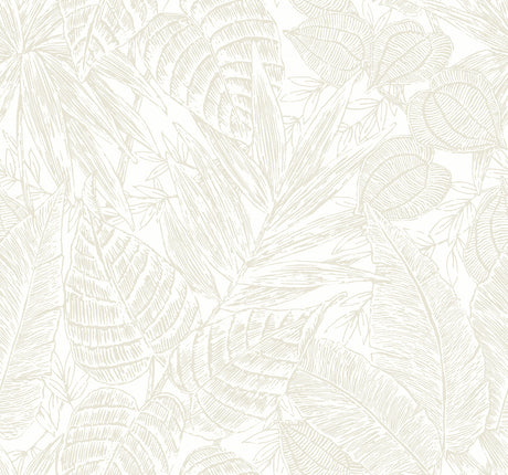 Brentwood Bone Palm Leaves Wallpaper by A-Street Prints - YK72118