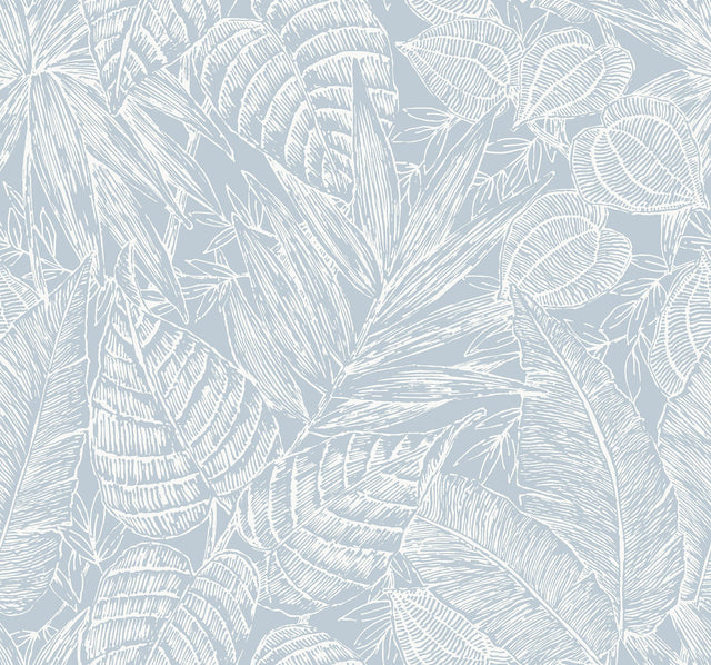 Brentwood Sky Blue Palm Leaves Wallpaper with Textured Paper Weave Grasscloth - A-Street Prints 4034-72119
