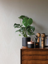 Keina Taupe Fronds Wallpaper with Textured Raised Ink Botanical Leaves - Advantage 4035-37553-2