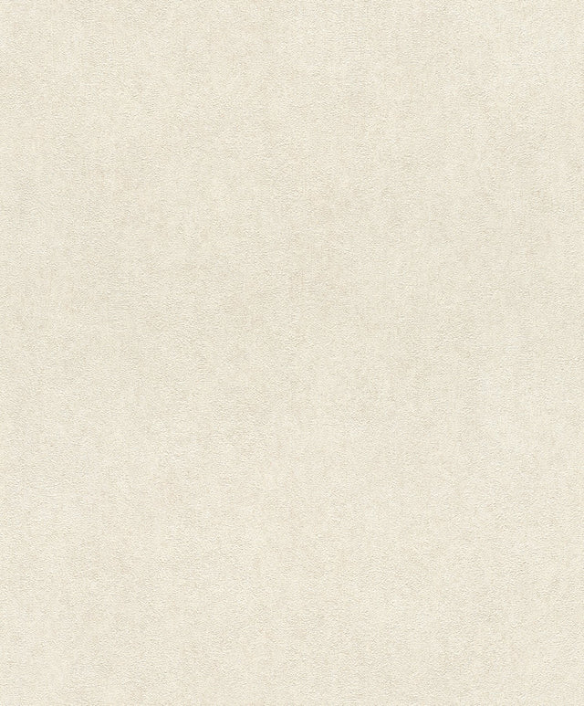 Etsu Beige Distressed Wallpaper with Plaster Effects Texture - Advantage 4035-617139