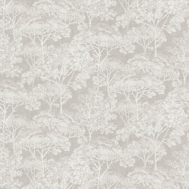 Teatro Grey Trees Wallpaper with Modern Botanical Tree Motif - Advantage 4044-38023-1