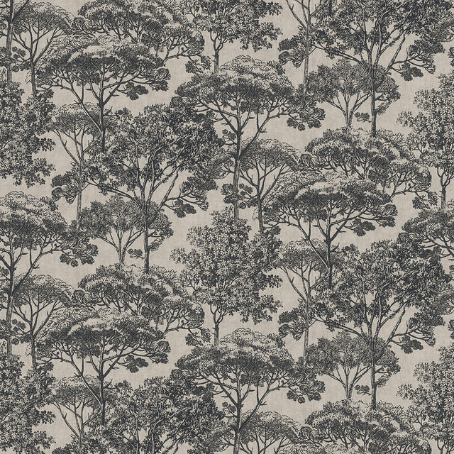 Teatro Black Trees Wallpaper with Modern Botanical Forest Pattern - Advantage 4044-38023-3