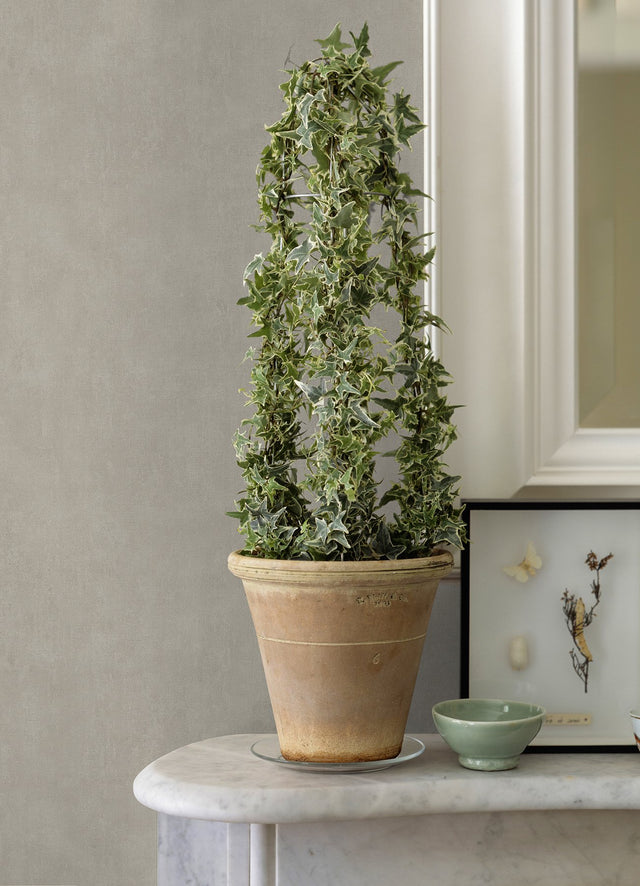 Riomar Taupe Distressed Texture Wallpaper with Abstract Textured Motif - Brewster 4044-38024-1