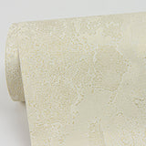 Francesca Champagne Texture Wallpaper with Glam Plaster Effects - Brewster 4058-21731