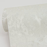 Francesca Silver Texture Wallpaper with Glam Abstract Plaster Effects - Sirpi 4058-21737