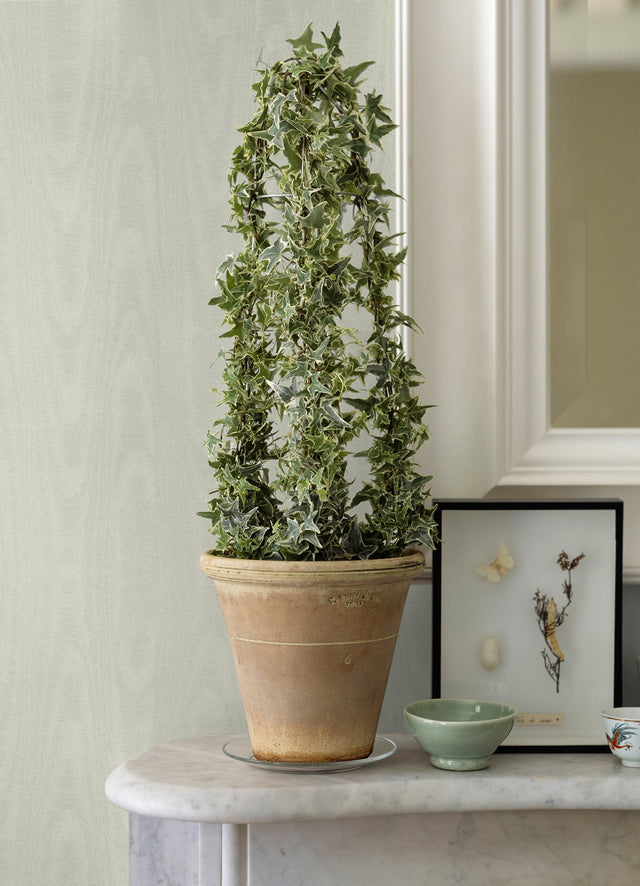 Angelina Light Yellow Moire Wallpaper with Glam Woodgrain Motif - Sirpi 4058-24812