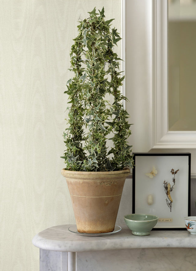 Angelina Cream Moire Wallpaper with Glam Woodgrain on Silk-Look Texture - Sirpi 4058-24813