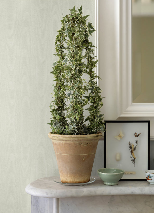 Angelina White Moire Wallpaper with Pearlescent Woodgrain Glam Style - Sirpi 4058-24814