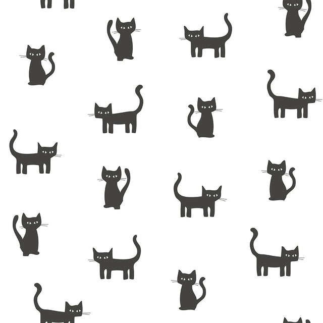 Delia Black Kitty Wallpaper with Non Woven Kids Pattern - Chesapeake 4060-138928