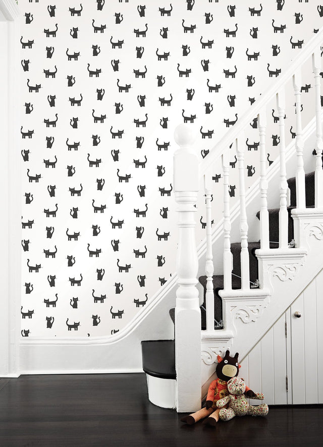 Salem Black Kittens Wallpaper