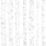 Birdie Grey Birch Wallpaper with Trees Kids Non Woven Unpasted - Chesapeake 4060-138944