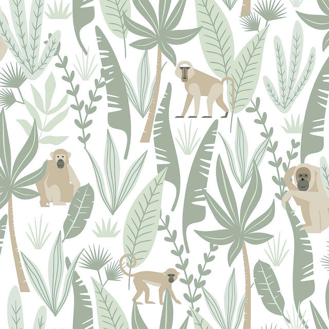 Kiki Light Green Monkeys Wallpaper with Jungle Botanical Pattern - Chesapeake 4060-139071
