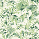 Manaus Green Palm Frond Wallpaper with Botanical Bohemian Motif - Chesapeake 4071-71014