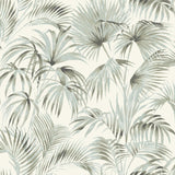 Manaus Aqua Palm Frond Wallpaper with Bohemian Botanical Style - Chesapeake 4071-71015