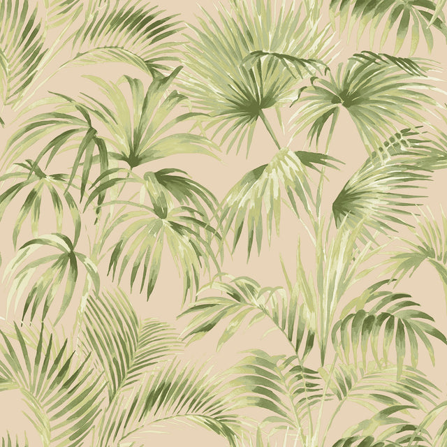 Manaus Peach Palm Frond Wallpaper with Botanical Bohemian Style - Brewster 4071-71017
