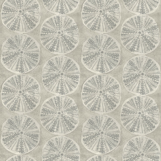 Sea Biscuit Grey Sand Dollar Wallpaper with Coastal Geometric Motif - Chesapeake 4071-71024