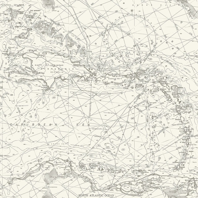 Charts Black Nautical Chart Wallpaper with Coastal Maps Motif - Chesapeake 4071-71055