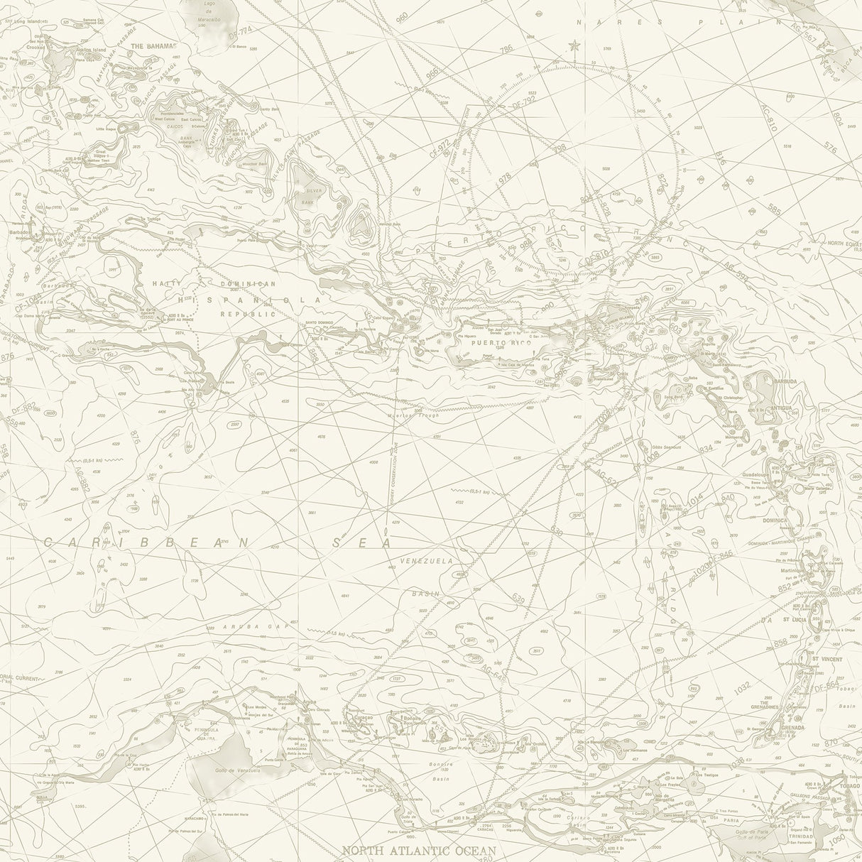 Charts Taupe Nautical Chart Wallpaper with Coastal Map Pattern - Chesapeake 4071-71057
