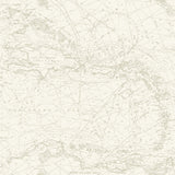 Charts Taupe Nautical Chart Wallpaper with Coastal Map Pattern - Chesapeake 4071-71057