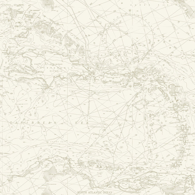 Charts Taupe Nautical Chart Wallpaper with Coastal Map Pattern - Chesapeake 4071-71057
