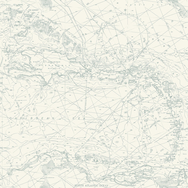 Charts Aqua Nautical Chart Wallpaper with Coastal Maps Pattern - Chesapeake 4071-71058