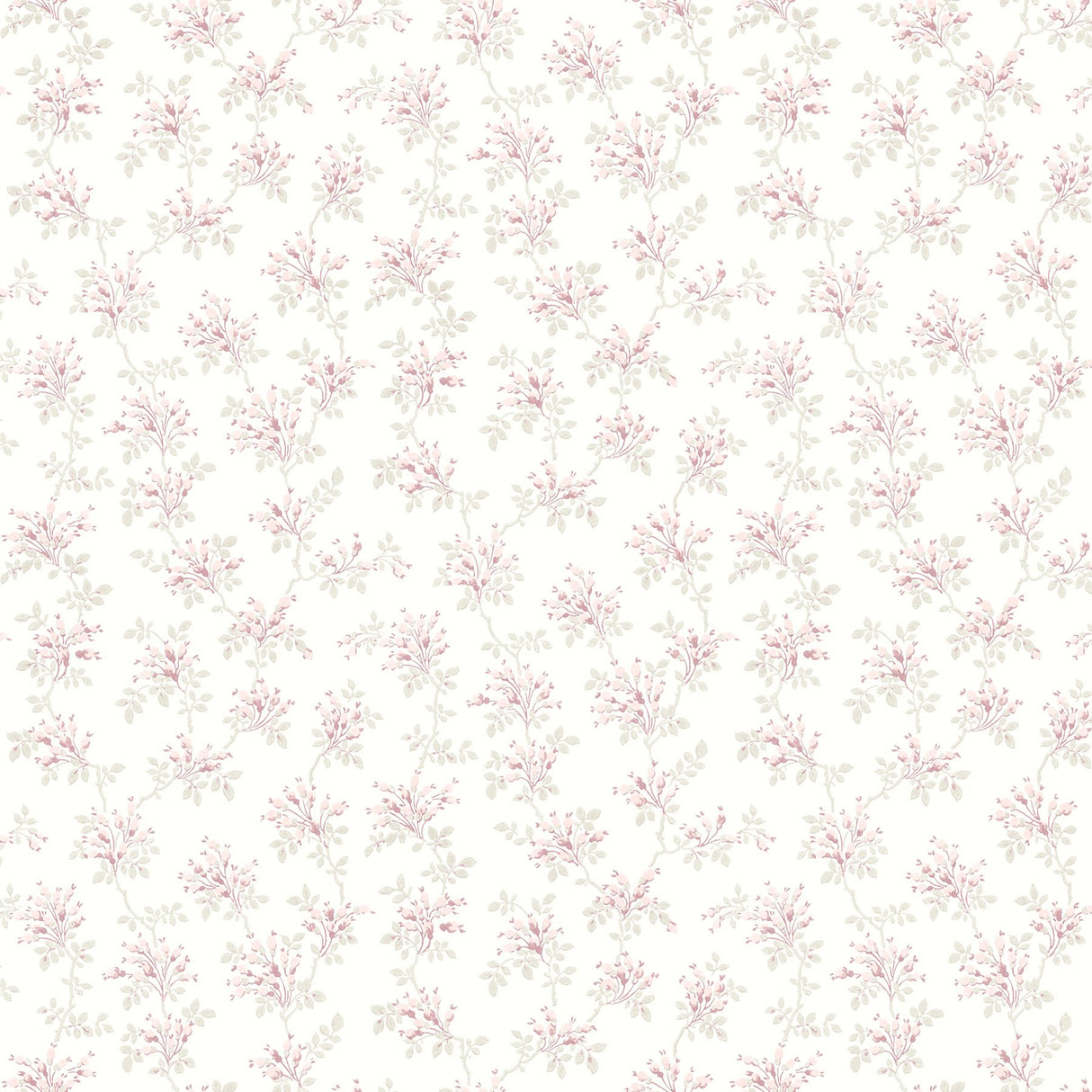 Sofiane Pink Botanical Trail Wallpaper with Country Botanical Vine Motif - Brewster 4072-70038